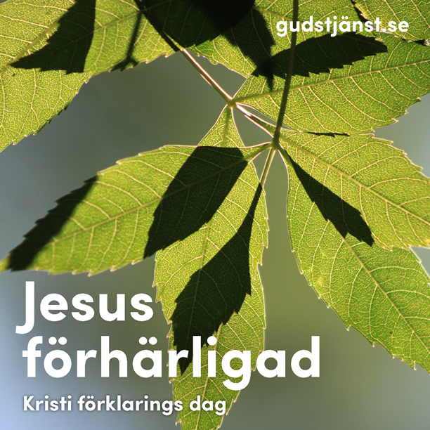 Gudstjänst 19 juli kl 10:00