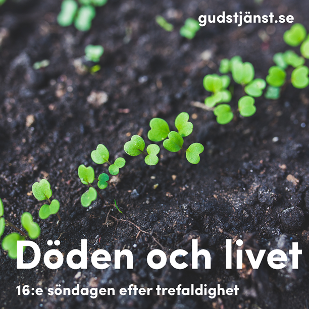 Gudstjänst 20 sept kl 10:00